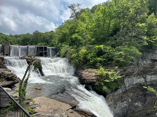 Desoto Falls Picnic Area-DeSoto State Park