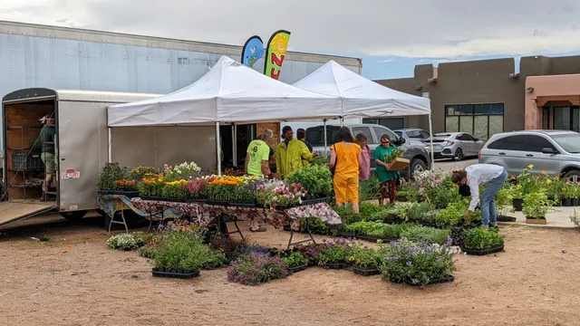 Eldorado Farmer's Market