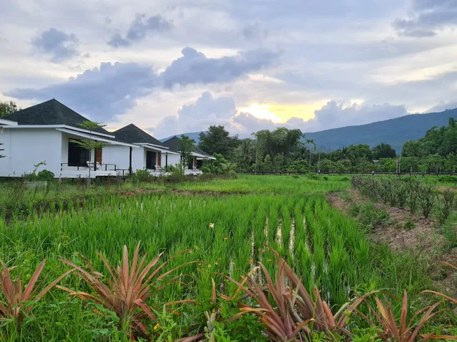 นอกชานมีนารีสอร์ท Nok Chan Mee Na