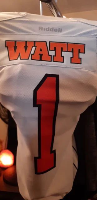 Karah Tess Clothing & Lettering