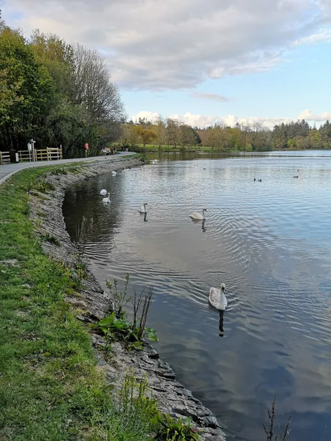 Hillsborough Forest & Car Park