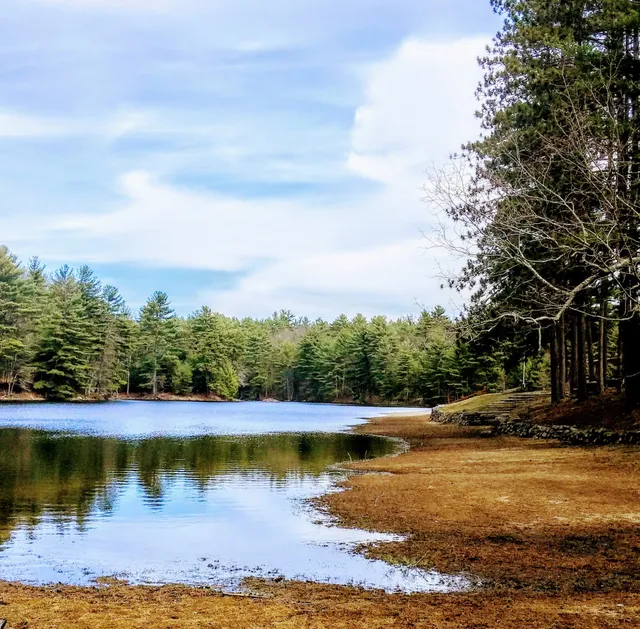 Quaddick State Forest
