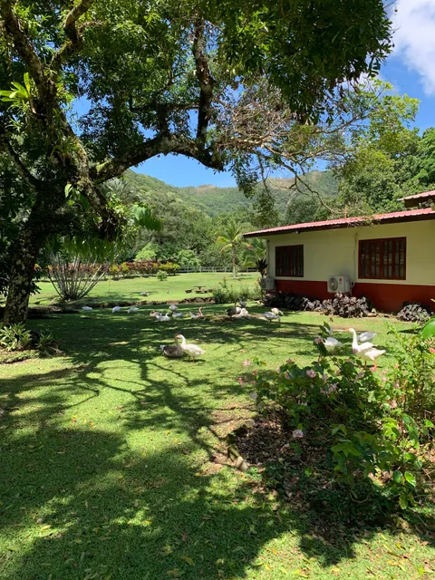 La Casa de Los Patos