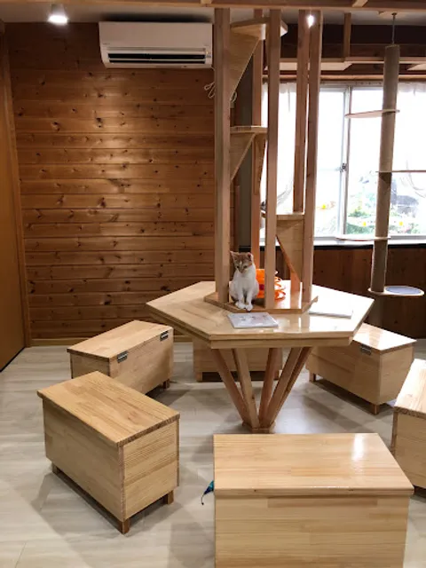 譲渡型保護猫カフェ猫の森