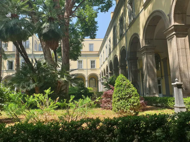 Facoltà di Medicina e Chirurgia - Università degli Studi della Campania "Luigi Vanvitelli"