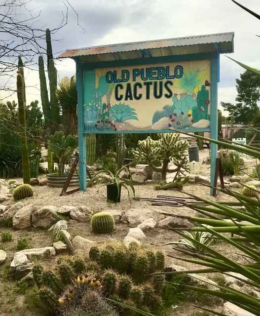 Old Pueblo Cactus