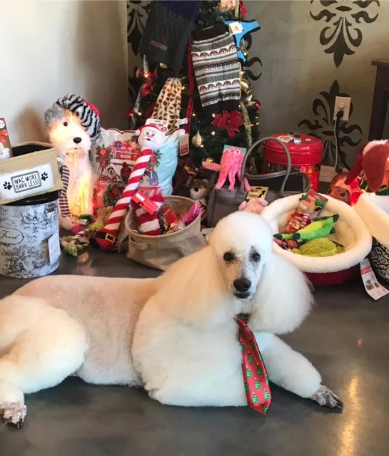 Scruffy to Fluffy Spa & Boutique