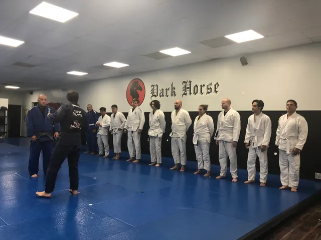 Dark Horse Brazilian Jiu Jitsu