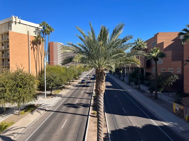 Arizona State University Bridge