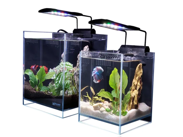 Lifegard Aquatics