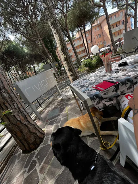 Ristorante Oasi della Pizza