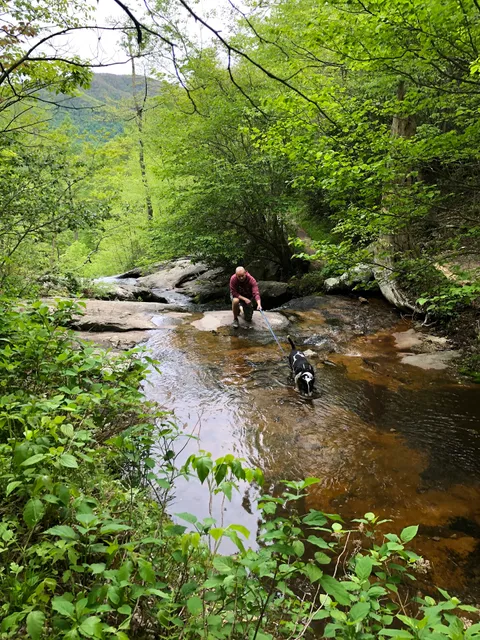 Fallingwater - Flat Top Trailhead