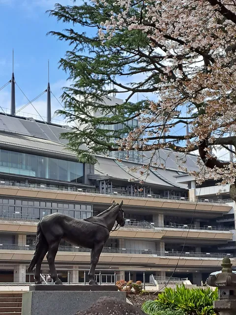Tokyo racecourse office