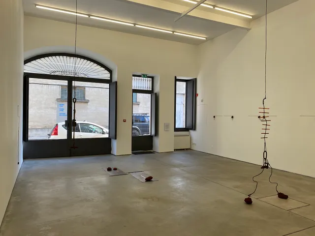 Galeria Bruno Múrias