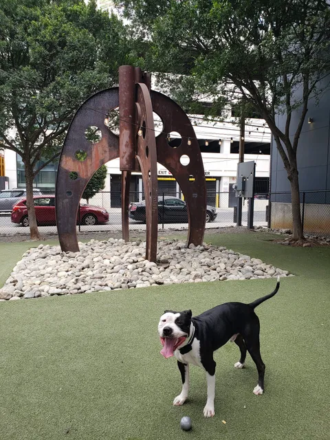 Piazza Dog Park