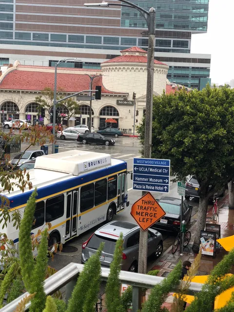 UCLA American Language Center (English Classes)