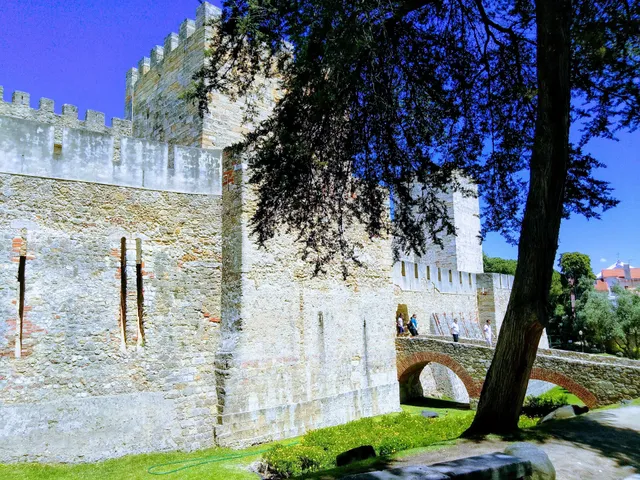 House and Rooms in Lisbon