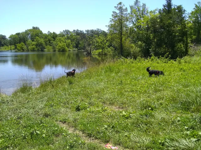 Lake 8 Busch Wildlife