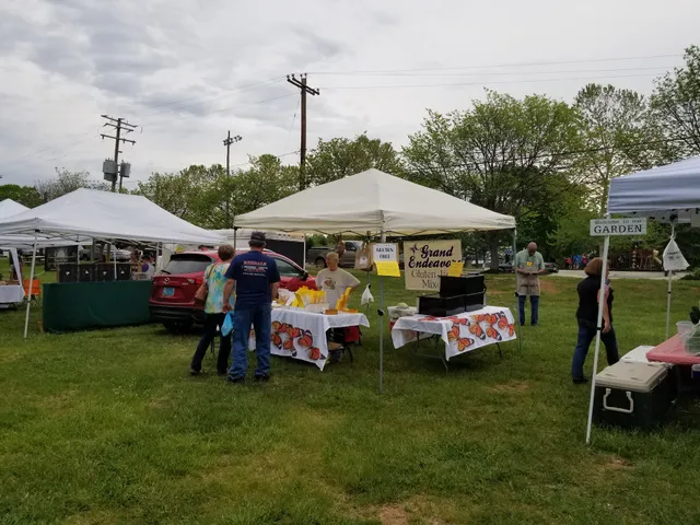 Mineral Farmer's Market