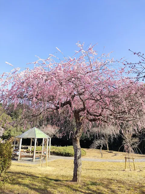 Hirashiba Park