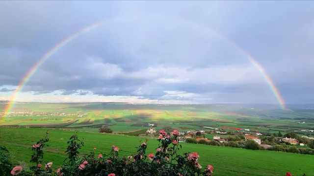Suite Kolibri in Galilee סוויטה קוליברי циммер Колибри