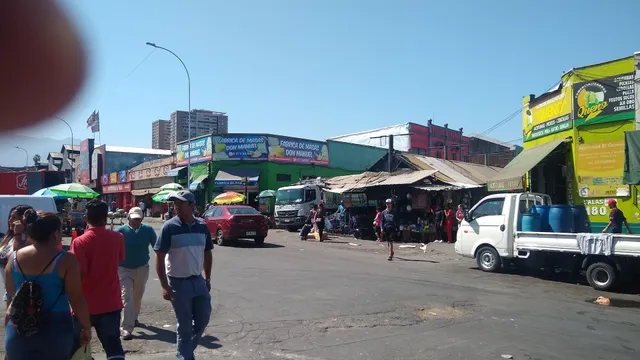 Mercado la Vega