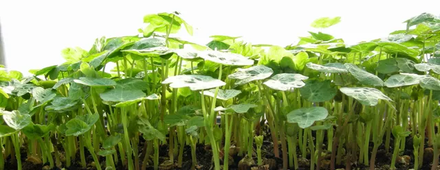 Blue Moon Acres Buckingham, PA