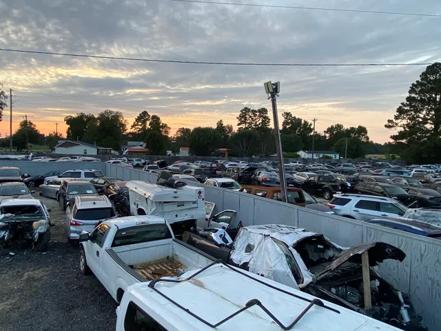 All Model Auto Parts