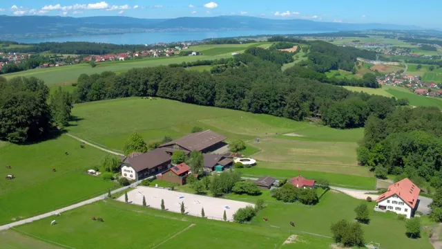 La Molière, Parc Chevalin Guesthouse. Pension Pour Chevaux, Retraite, Convalescence Et Vacance Cheval