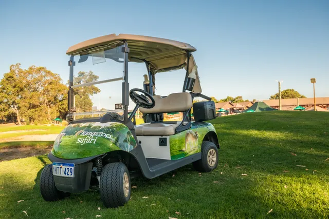 Kangaroo Safari at The Vines Resort