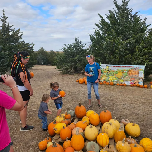 Jurgens Pumpkin Patch