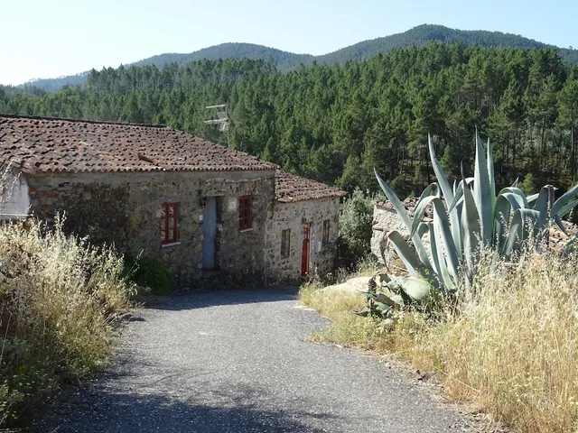 Palheiros da Ribeira