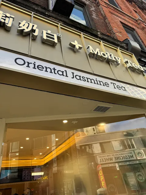 Molly Tea (Downtown)