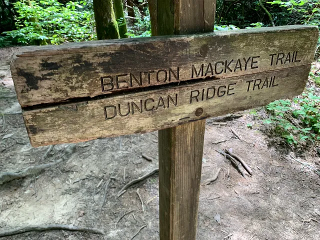 Appalachian Trail and Benton MacKaye Trail Junction