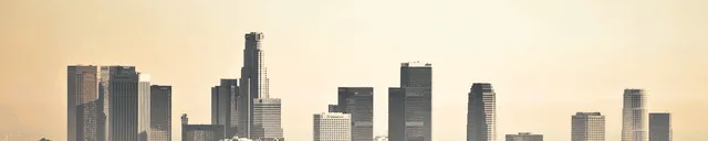 The Los Angeles Homeless Services Authority (LAHSA)