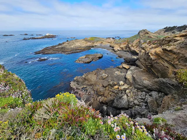 Sea Lion Point