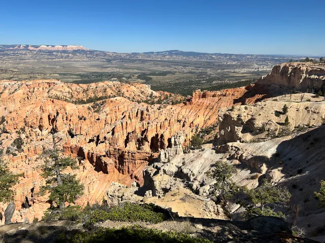 Bryce Point