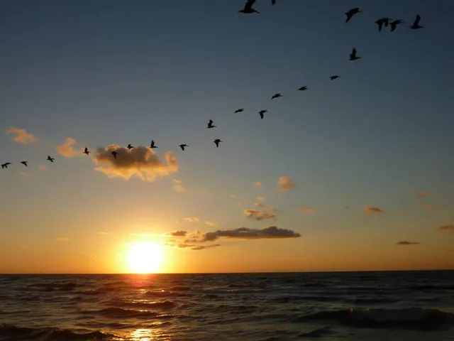 Coastal Sisters Rentals