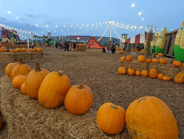 Seasonal Adventures Pumpkin Patch & Christmas Trees