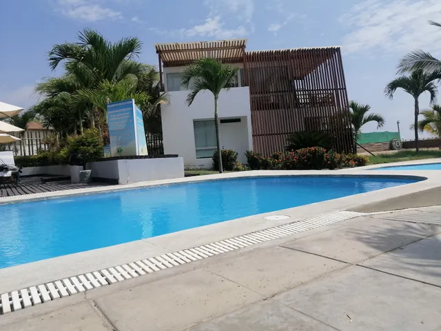 LunaMar palmeras de bocapan