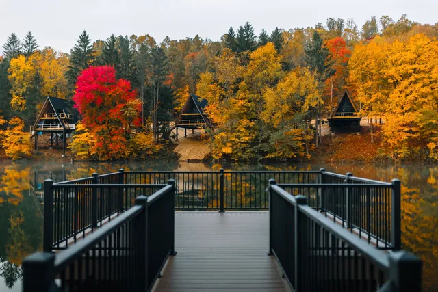 Paradise Lake Cabins