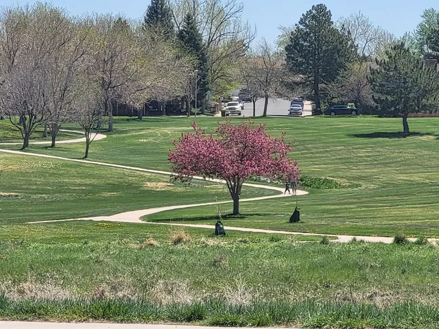 Highland Hollows Park