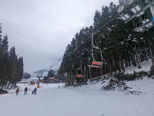 Shinbo Family Ski Area