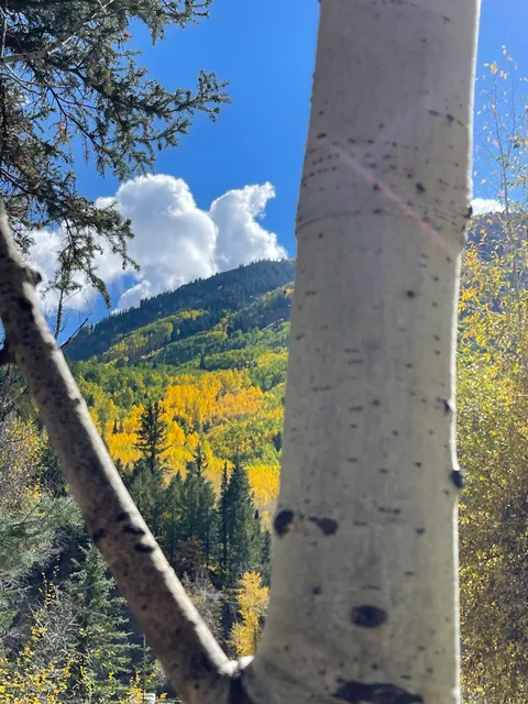 Marble Campground - Meri Daes