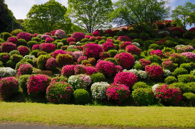 Keage Water Treatment Plant