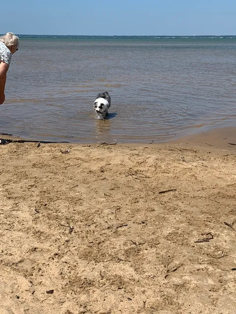 Tawas Point Dog Beach