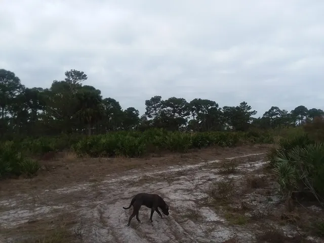 Lake Park Scrub Natural Area