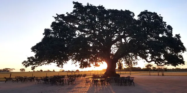 Floresville Event Center