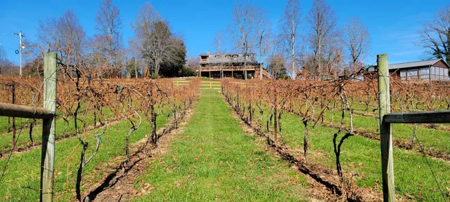 Odom Springs Vineyards