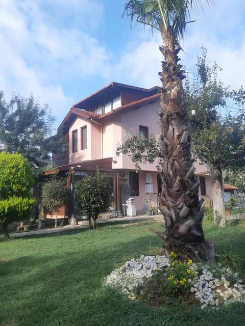 Ağva Gizemli Nehir Bungalov Otel